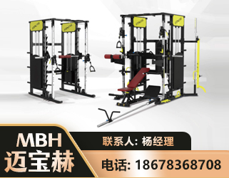 山南多功能综合训练器