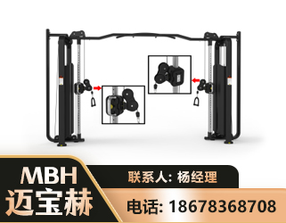山南大飞鸟训练器