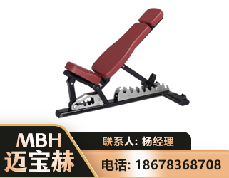 山南可调哑铃椅