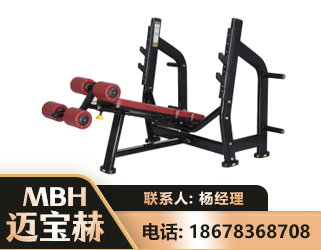 山南豪华下斜卧推架